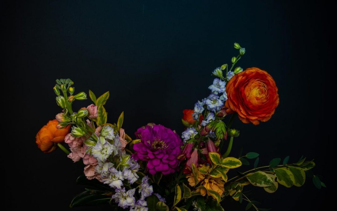 Met @thefreesiacollective yesterday at their workshop at @provisionswyandotte - these flowers we got were so stunning we just HAD to photograph them in the studio today