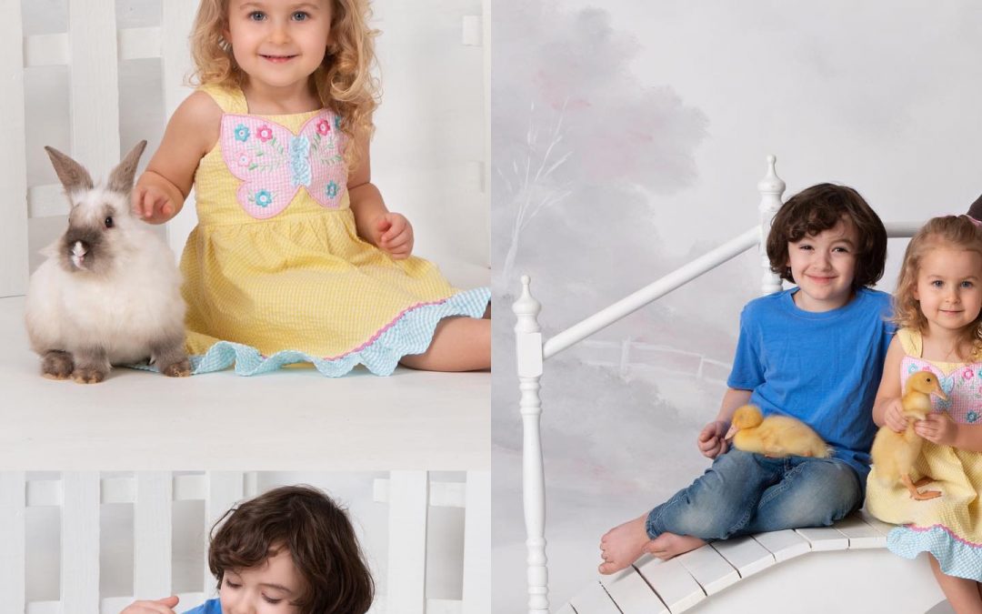 Wonderful Farm Photo Day !! Full of many smiles & adorable moments — image 1 of 2