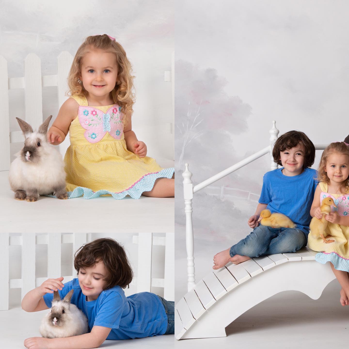 Wonderful Farm Photo Day !! Full of many smiles & adorable moments — image 1 of 2